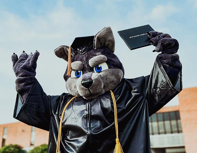 Wolf Mascot with Cap and Gown and Diploma