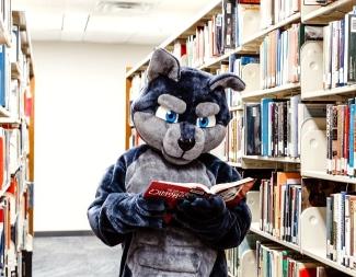 Wolf Mascot in Library Isle Reading